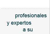Profesionales y expertos